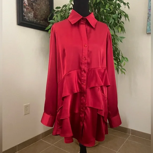 Finley | Long Sleeve Button Down Tiered Ruffle Satin-like Blouse. Size Medium - Picture 1 of 7